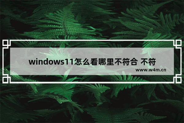 windows11怎么看哪里不符合 不符合win11