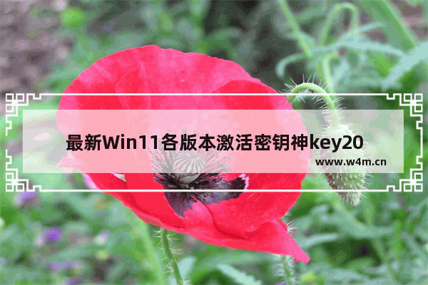 最新Win11各版本激活密钥神key2021 密钥对是什么