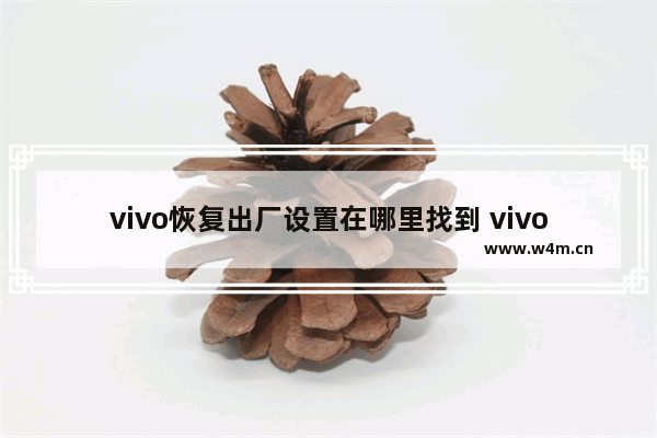 vivo恢复出厂设置在哪里找到 vivo手机还原出厂设置方法