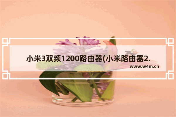 小米3双频1200路由器(小米路由器2.4g频段带宽)