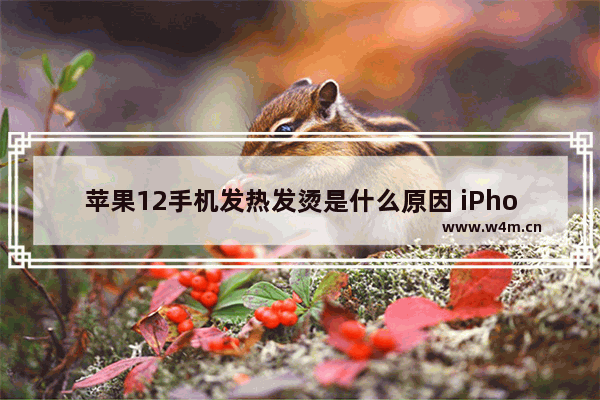 苹果12手机发热发烫是什么原因 iPhone 12发热降温小技巧