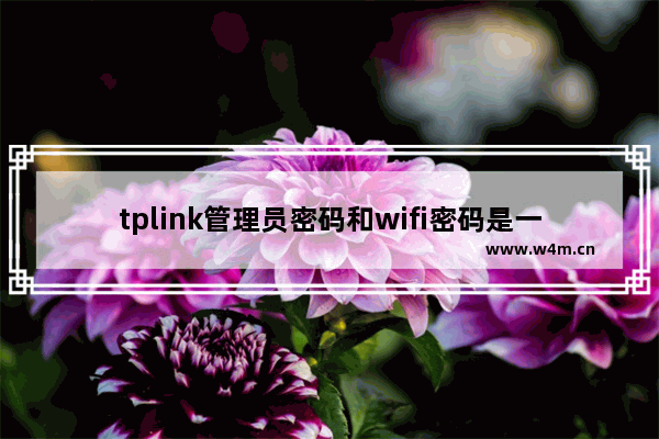 tplink管理员密码和wifi密码是一样的吗？