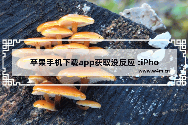 苹果手机下载app获取没反应 :iPhone App下载不了的终极解决办法