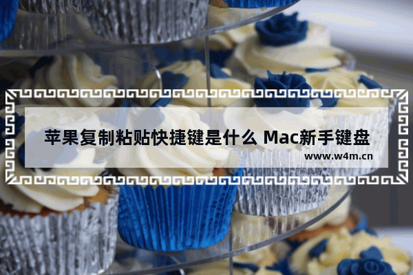 苹果复制粘贴快捷键是什么 Mac新手键盘快捷键操作技巧