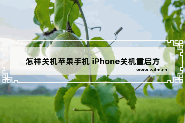 怎样关机苹果手机 iPhone关机重启方法