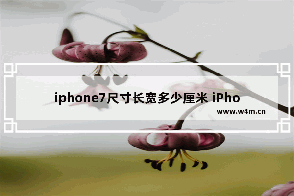 iphone7尺寸长宽多少厘米 iPhone 7s/7s Plus三围