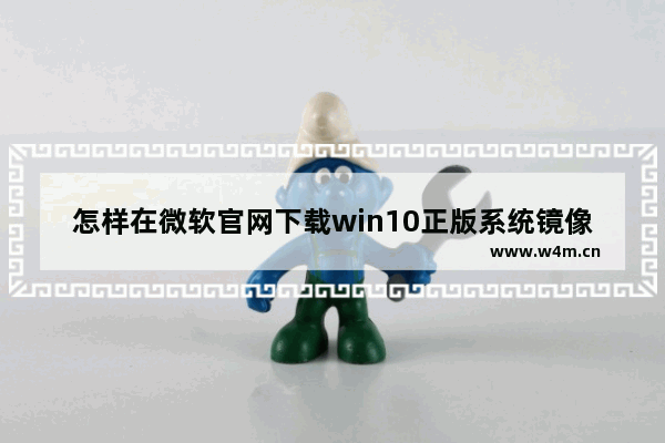 怎样在微软官网下载win10正版系统镜像 win10专业版镜像