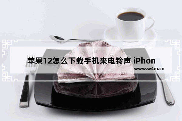 苹果12怎么下载手机来电铃声 iPhone换手机铃声的方法