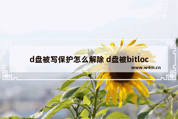 d盘被写保护怎么解除 d盘被bitlocker锁了怎么解?