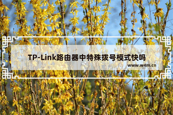 TP-Link路由器中特殊拨号模式快吗