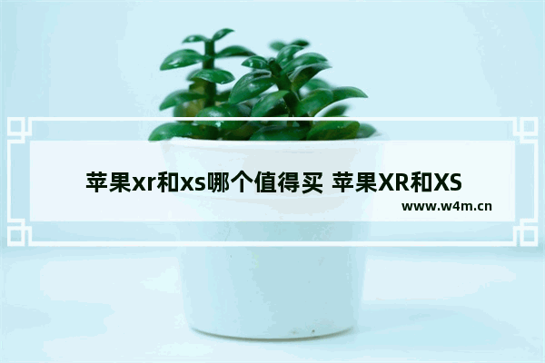 苹果xr和xs哪个值得买 苹果XR和XS区别对比