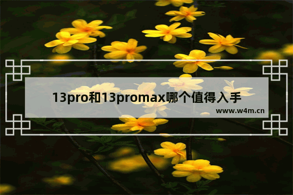 13pro和13promax哪个值得入手 iPhone13Pro和iPhone13Promax对比