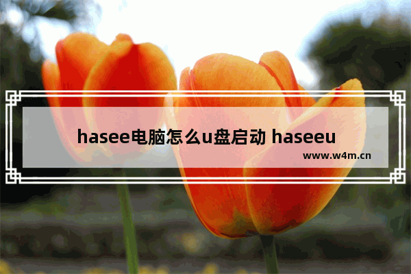 hasee电脑怎么u盘启动 haseeu盘启动快捷键