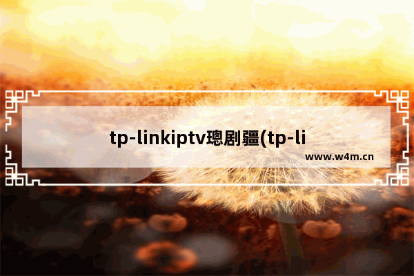 tp-linkiptv璁剧疆(tp-linkiptv)