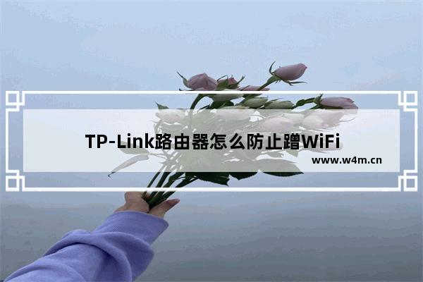 TP-Link路由器怎么防止蹭WiFi