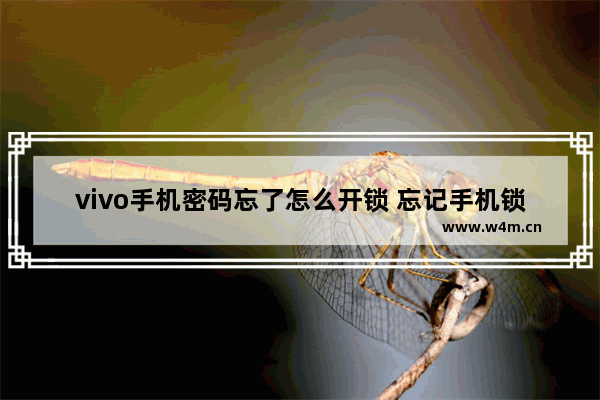 vivo手机密码忘了怎么开锁 忘记手机锁屏密码解锁教程