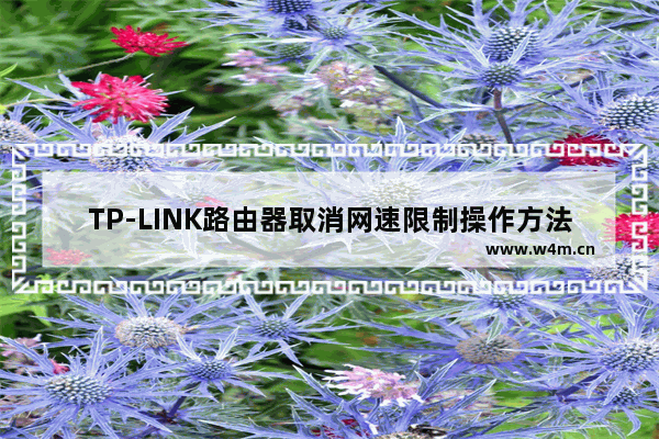 TP-LINK路由器取消网速限制操作方法