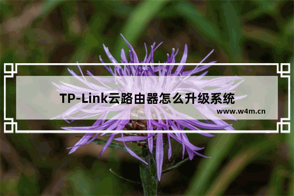 TP-Link云路由器怎么升级系统