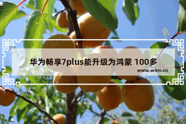 华为畅享7plus能升级为鸿蒙 100多款手机可以升级鸿蒙系统