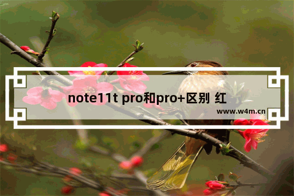 note11t pro和pro+区别 红米Note 11T Pro和Pro+对比