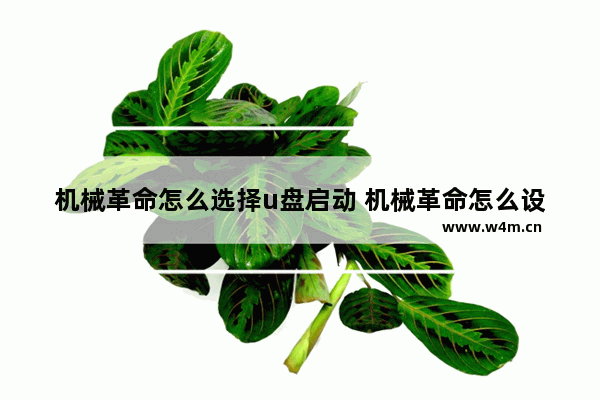 机械革命怎么选择u盘启动 机械革命怎么设置u盘为第一启动项