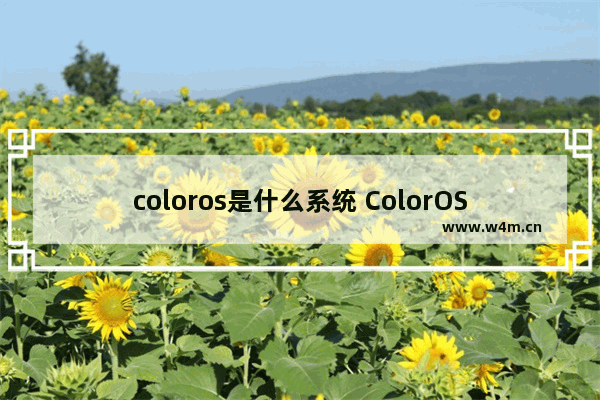 coloros是什么系统 ColorOS受欢迎的主要原因