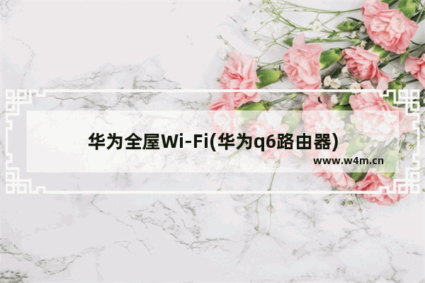 华为全屋Wi-Fi(华为q6路由器)