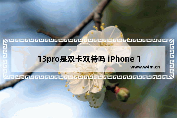 13pro是双卡双待吗 iPhone 13 Pro系列评测