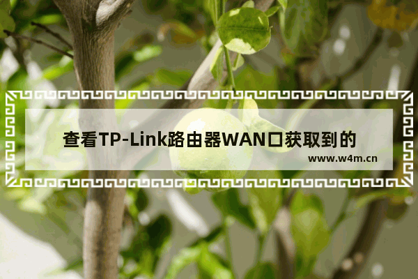 查看TP-Link路由器WAN口获取到的IP地址方法