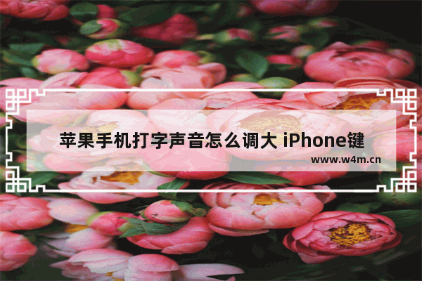 苹果手机打字声音怎么调大 iPhone键盘打字声音调节方法