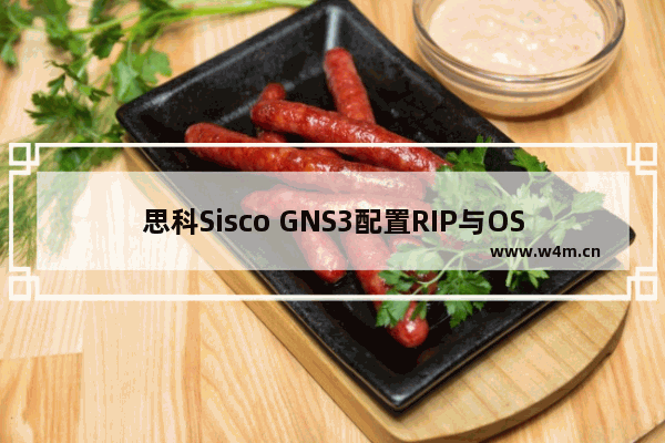 思科Sisco GNS3配置RIP与OSPF路由重发布