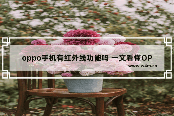 oppo手机有红外线功能吗 一文看懂OPPO Reno9系列