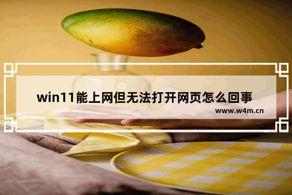 win11能上网但无法打开网页怎么回事 windows10浏览器无法上网