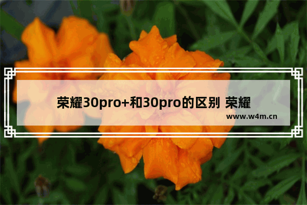 荣耀30pro+和30pro的区别 荣耀30 Pro+相比荣耀30 Pro