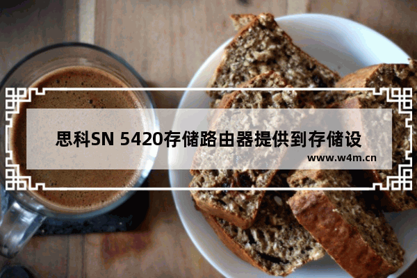 思科SN 5420存储路由器提供到存储设备的IP访问