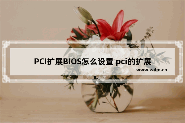 PCI扩展BIOS怎么设置 pci的扩展插槽