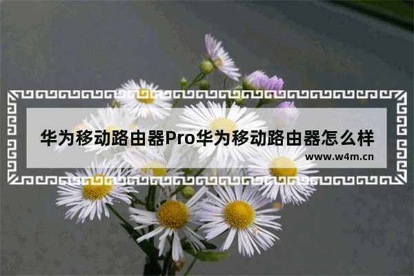 华为移动路由器Pro华为移动路由器怎么样