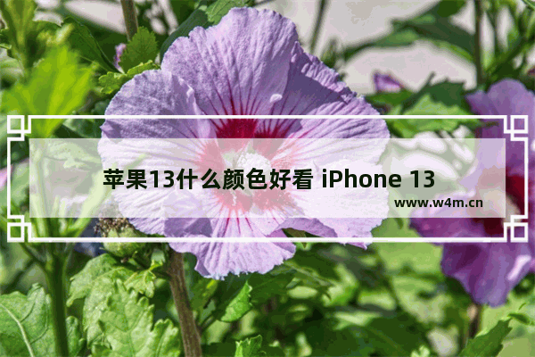 苹果13什么颜色好看 iPhone 13全系列真机实拍