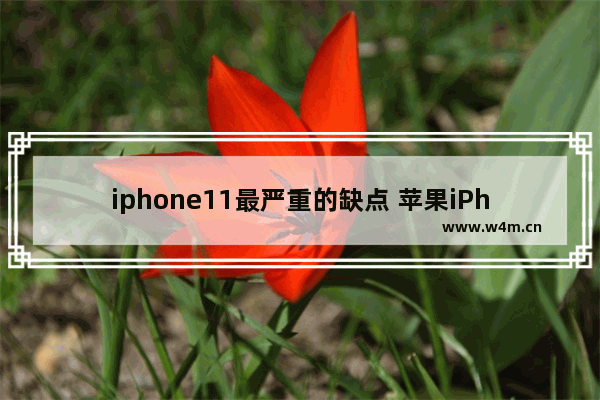 iphone11最严重的缺点 苹果iPhone 11致命缺陷