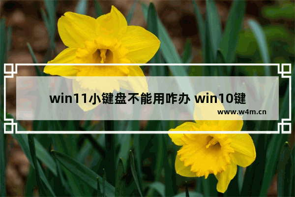 win11小键盘不能用咋办 win10键盘不管用