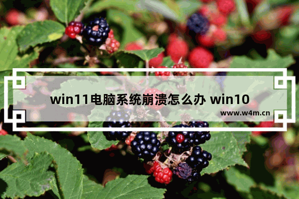 win11电脑系统崩溃怎么办 win10蓝屏重启解决方法