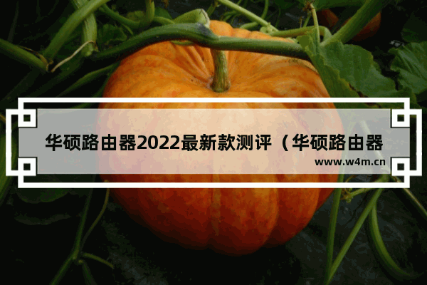 华硕路由器2022最新款测评（华硕路由器和华为路由器哪个好）