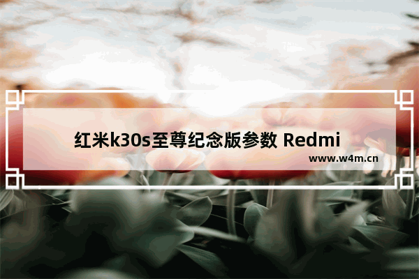 红米k30s至尊纪念版参数 Redmi K30S骁龙865+LPDDR5