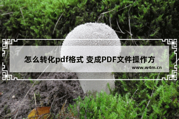 怎么转化pdf格式 变成PDF文件操作方法