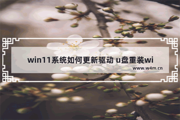 win11系统如何更新驱动 u盘重装win10系统步骤