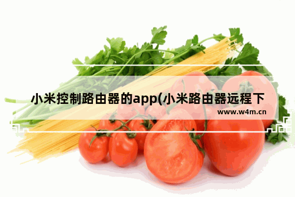 小米控制路由器的app(小米路由器远程下载地址)