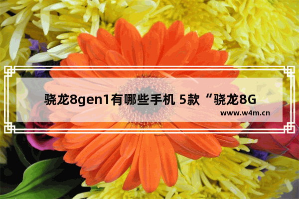 骁龙8gen1有哪些手机 5款“骁龙8GEN1”手机推荐