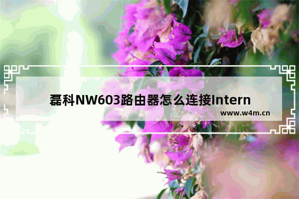 磊科NW603路由器怎么连接Internet上网