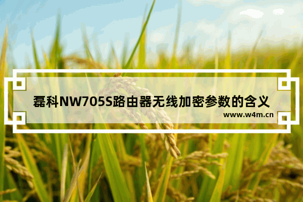 磊科NW705S路由器无线加密参数的含义