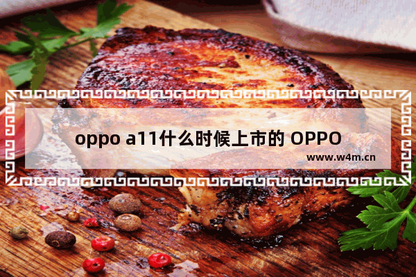 oppo a11什么时候上市的 OPPO A11开售日期